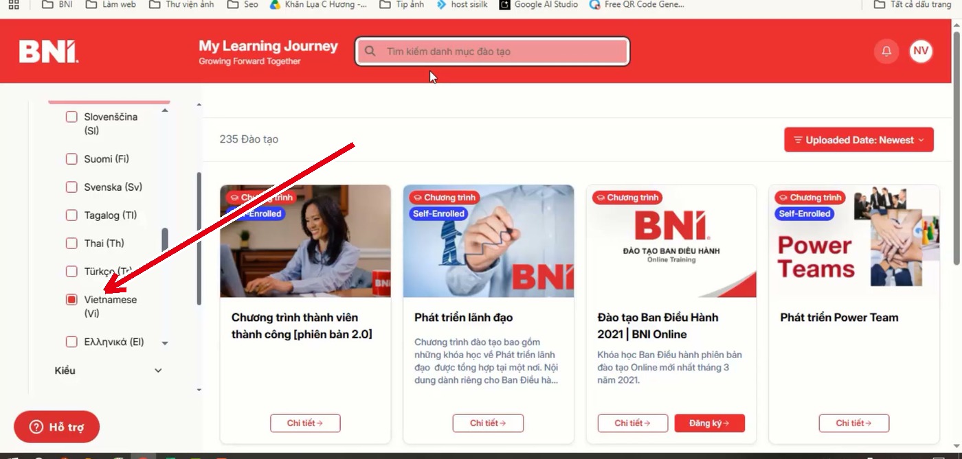 Bộ lọc ngôn ngữ: tích chọn Vietnamese để hiện bài tiếng Việt