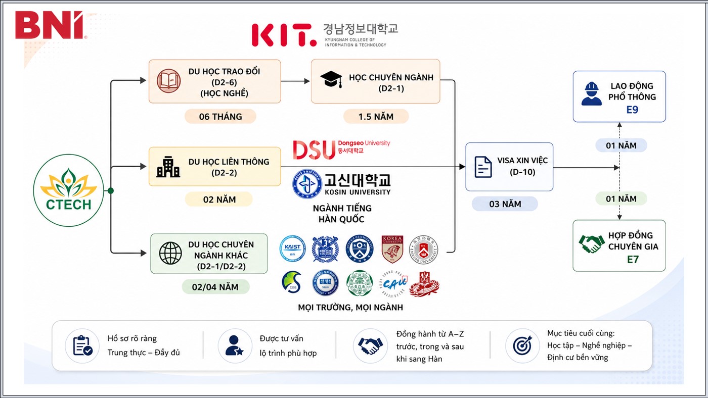 Slide 8: Sơ đồ lộ trình qua các trường Hàn Quốc